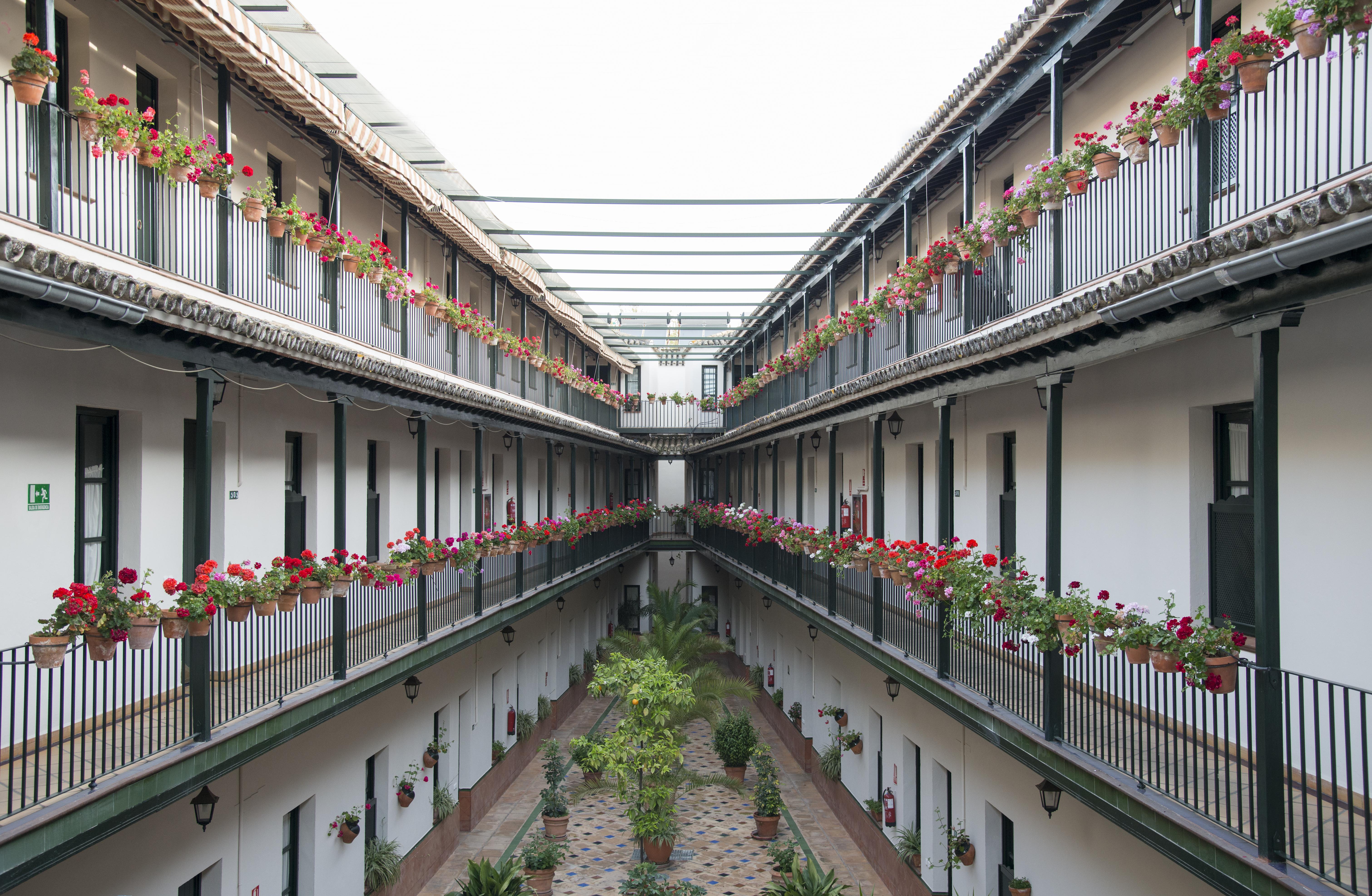 Corral De Chicharos Apartment Seville