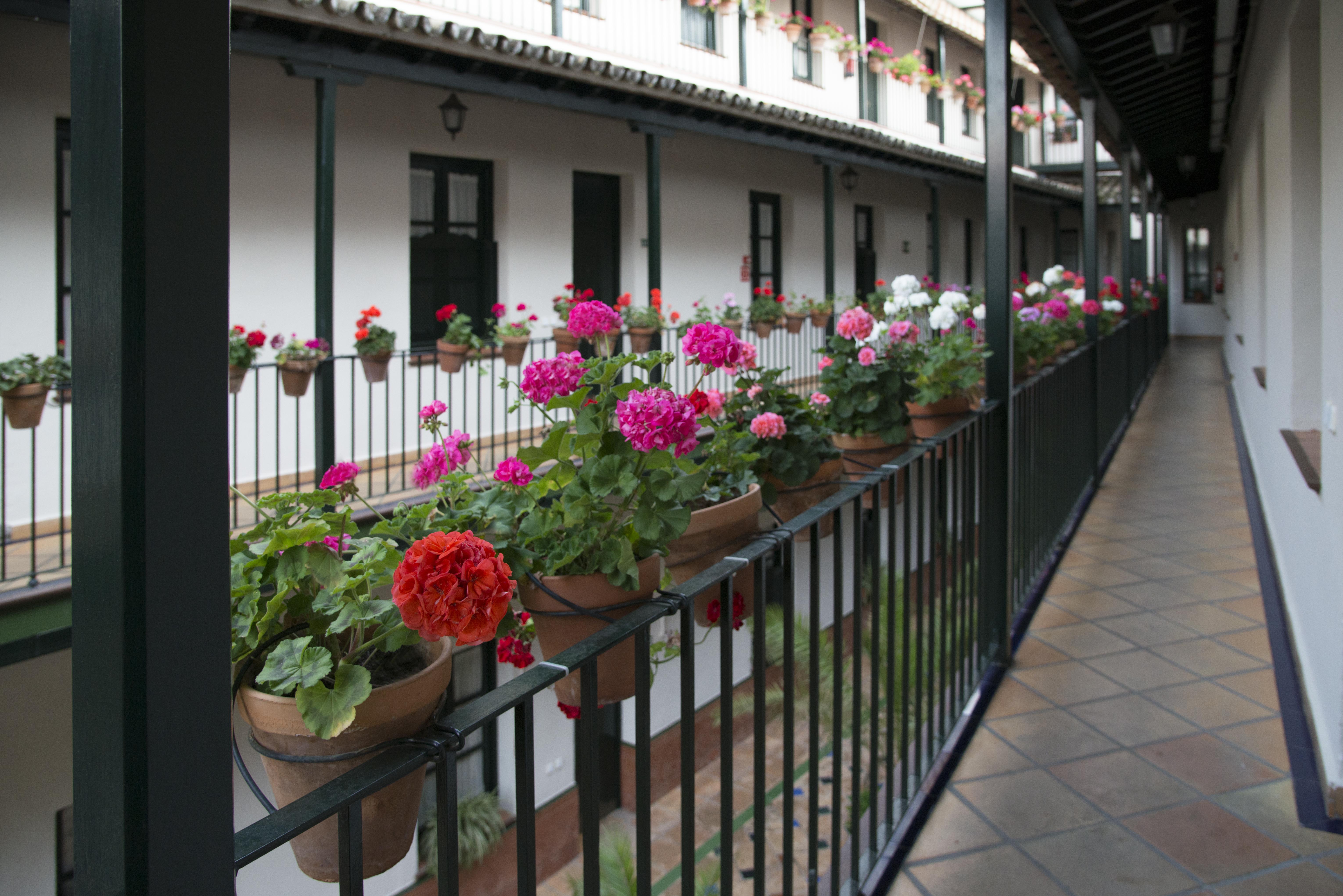 Appartement Corral De Chicharos *