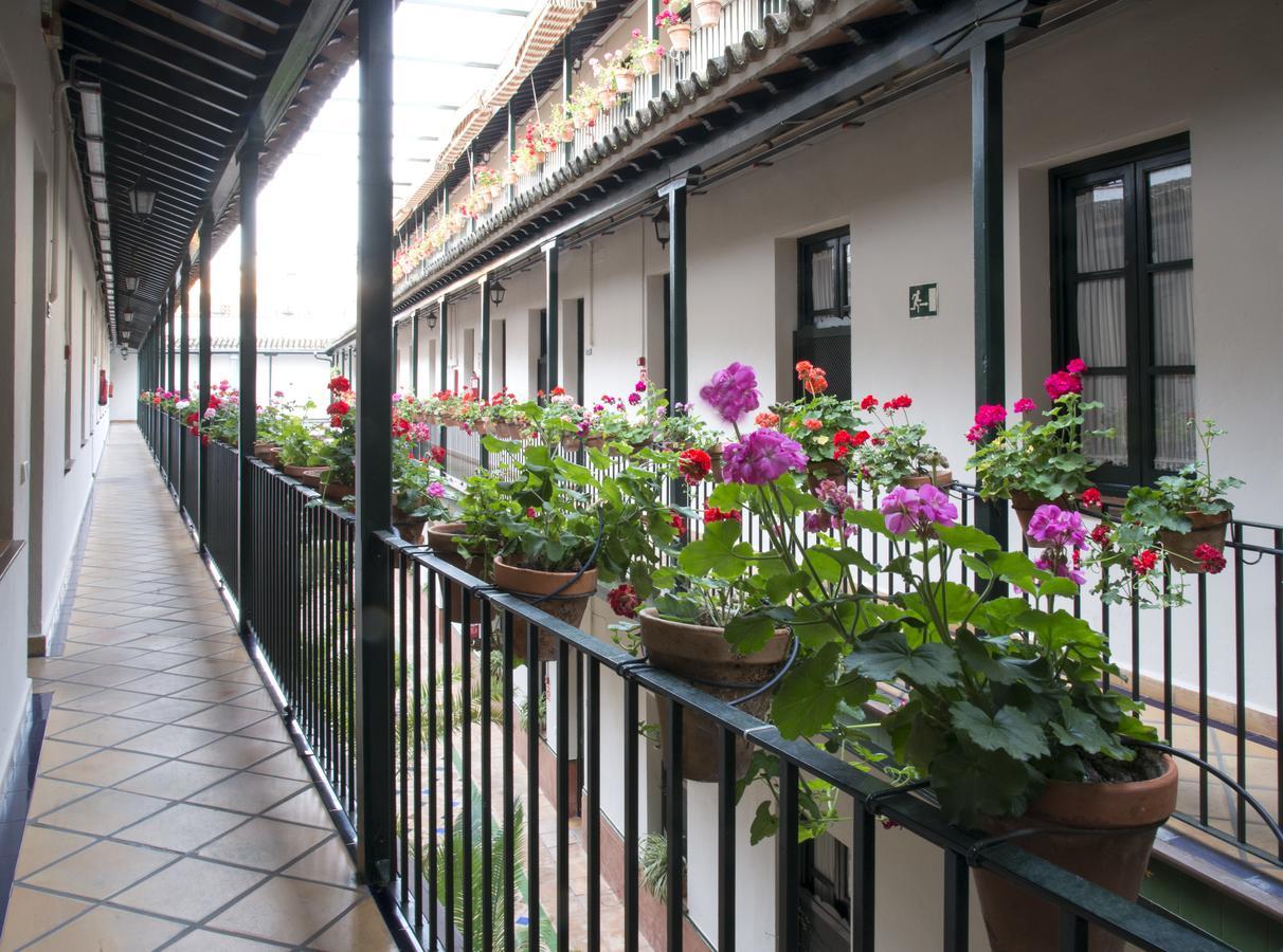 Appartement Corral De Chicharos